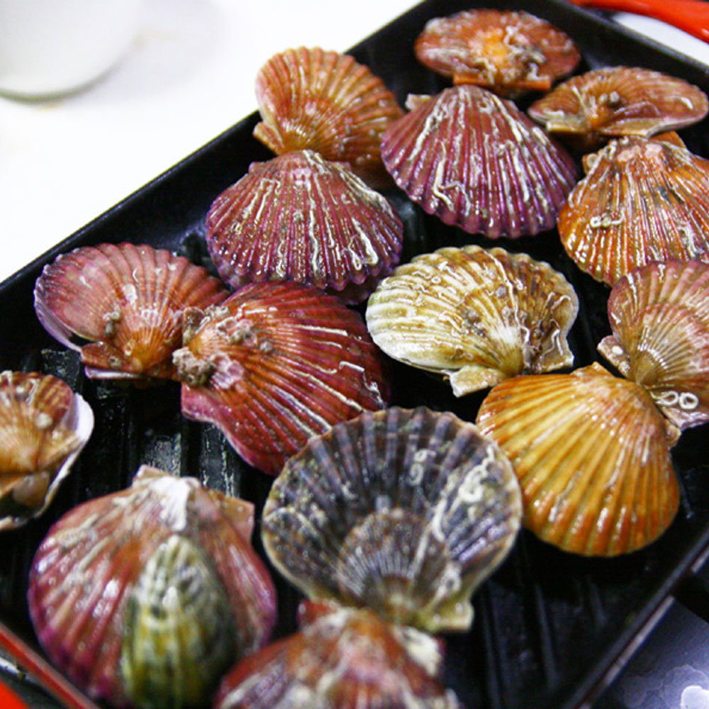 계절상품 홍가리비1kg(20~25미내외)